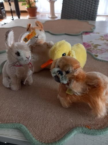 Steiff vintage konvolut - steiff,